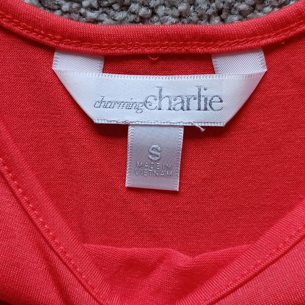 Charming Charlie dress - Picture 3 of 5
